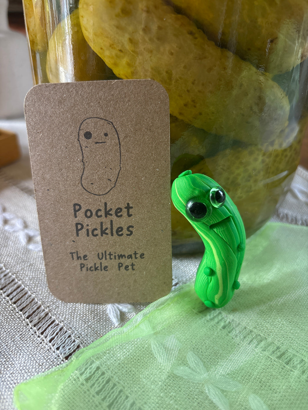 Pocket Pickle